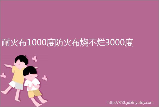 耐火布1000度防火布烧不烂3000度