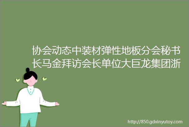 协会动态中装材弹性地板分会秘书长马金拜访会长单位大巨龙集团浙江卡曼橡胶地板有限公司